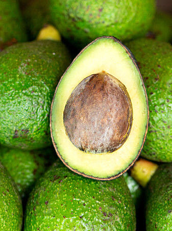 Once upon a time there was a creature big enough to actually eat this thing whole. Once upon a time there was a creature big enough to actually eat this thing whole.