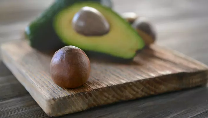 Why does the avocado have such huge seeds?Meet the plants that have lost their enormous partners