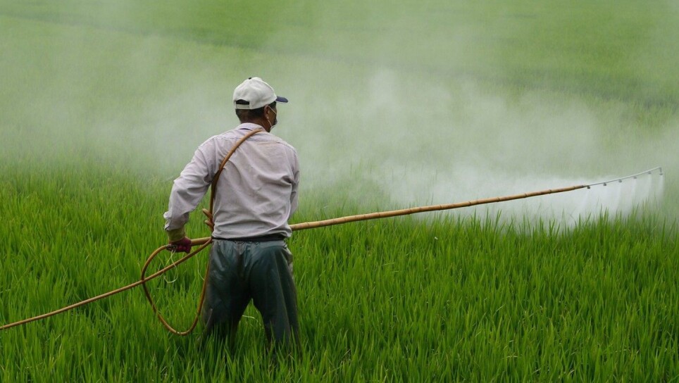 About two-thirds of the nitrous oxide emissions in agriculture come from the use of synthetic fertilisers. Excess fertiliser makes great food for soil bacteria and enhances the microbial processes that lead to nitrous oxide emissions, says Glen Peters, research director at CICERO Center for International Climate Research.