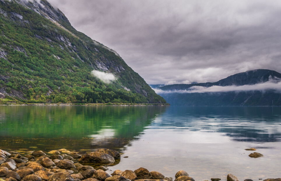 A new study gives insights into how the Hardangerfjord Glacier vanished. It may tell us something about what we are about to witness in Greenland today. Pictured here is the view from the beach on the Eid fjord, the inner branch of the large Hardangerfjorden.