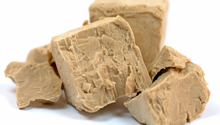Regular baking yeast contains beta-1,3/1,6-glucan. But the substance needs to be processed before it has an effect in animals and humans. Regular baking yeast contains beta-1,3/1,6-glucan. But the substance needs to be processed before it has an effect in animals and humans.