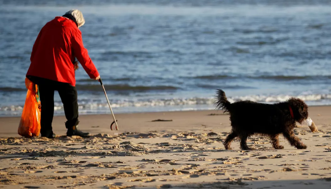 Volunteer Pam Michael collects plastic and other waste as she walks her dog George along New Brighton beach near Liverpool, Britain, November 19, 2018. REUTERS/Phil Noble