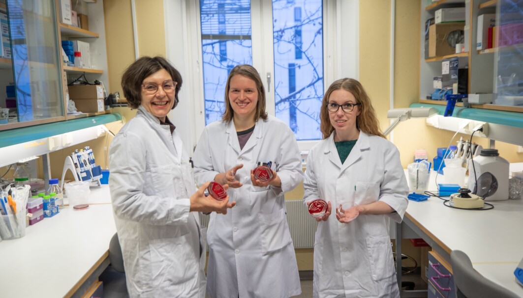 This is the laboratory where the new bacterium was discovered. From the left: Pauline Cavanagh, Runa Wolden og Maria Pain. This is the laboratory where the new bacterium was discovered. From the left: Pauline Cavanagh, Runa Wolden og Maria Pain.