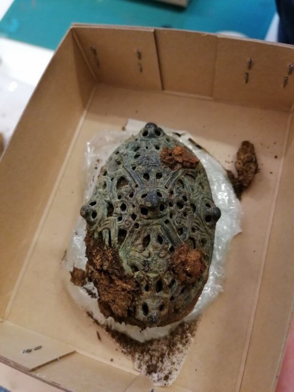 The contents of the turtle brooch might be able to tell us more about who the woman was.