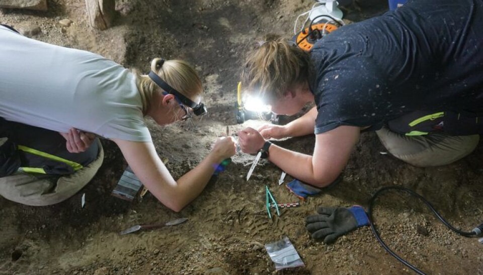 Ingvild Mjelde and Elise Kjørsvik brush away dirt to reveal the pearls.