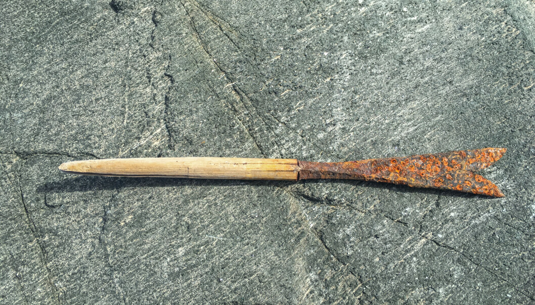 This arrow dates from the Viking Age, and has a special two-parted point. This arrow dates from the Viking Age, and has a special two-parted point.