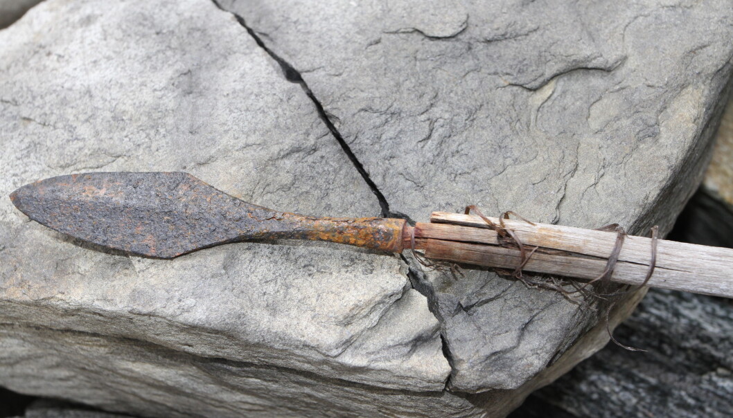 Another type of arrow, around 1300 years old. Here the arrowhead is still stuck in the shaft. Another type of arrow, around 1300 years old. Here the arrowhead is still stuck in the shaft.