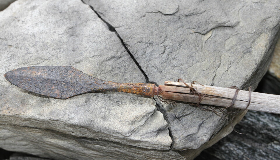 Another type of arrow, around 1300 years old. Here the arrowhead is still stuck in the shaft.