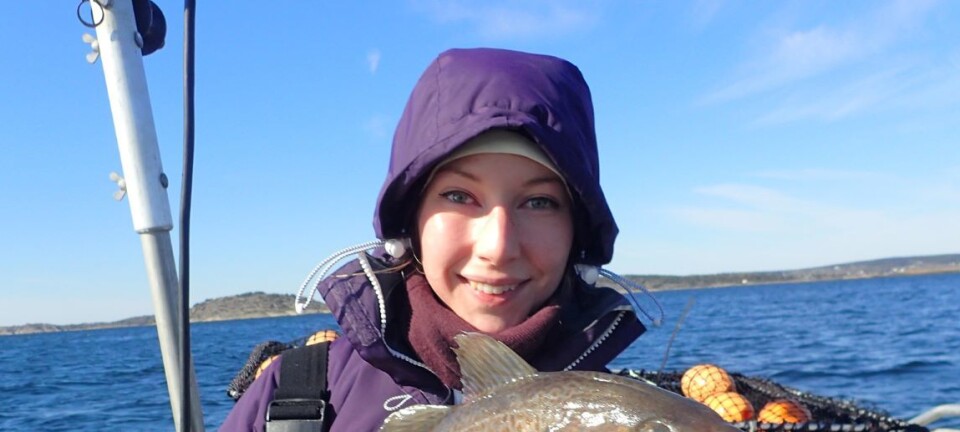 Not many big cod left in the Oslo Fjord