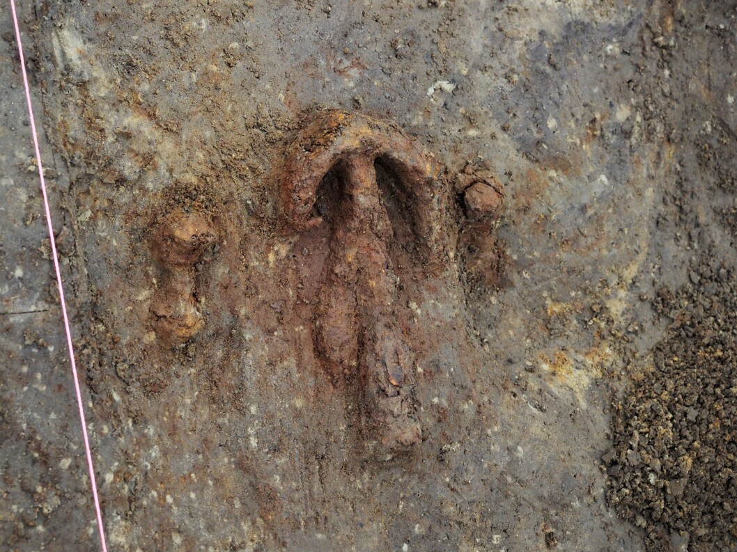 The nail with anchor-shaped rove was found between two smaller, regular rivets. The nail with anchor-shaped rove was found between two smaller, regular rivets.