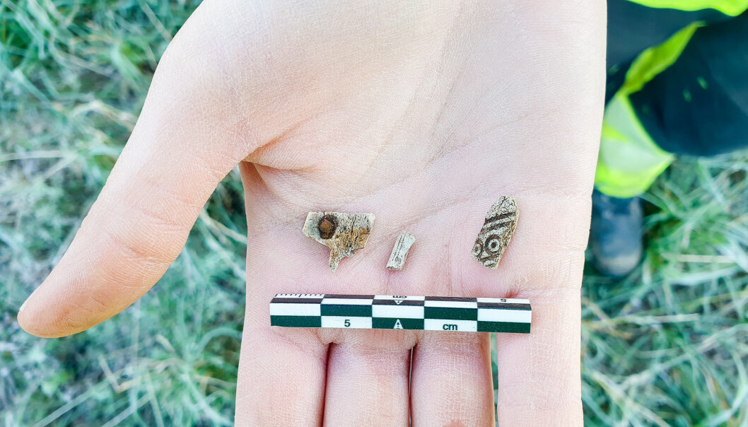“We found pieces of a comb in the ship, but we're not sure if it was part of the burial goods, or whether it simply came with the soil that collapsed into the ship”. “We found pieces of a comb in the ship, but we're not sure if it was part of the burial goods, or whether it simply came with the soil that collapsed into the ship”.