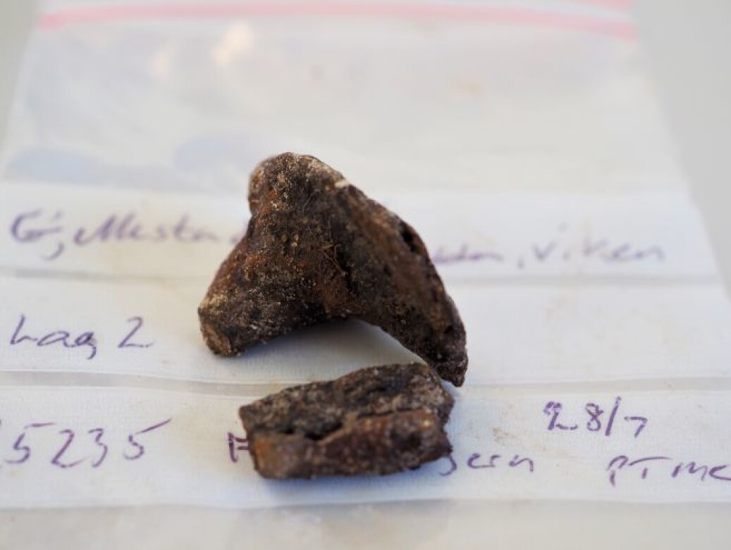 This is a typical example of distinctive nail fragments, which are often find when sieving. This is a nail head with parts of the stem. This is a typical example of distinctive nail fragments, which are often find when sieving. This is a nail head with parts of the stem.