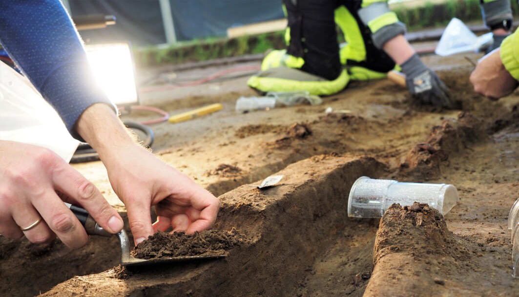 As most of the ship and what was buried with it is more or less decomposed, this has been a dig of picking and sifting through soil as carefully yet efficiently as possible. The plastic cup protects a ship nail found in its original place. By August alone almost a hundred such nails had been found. They are left in place to help make a 3D model of the ship once all the soil is removed. As most of the ship and what was buried with it is more or less decomposed, this has been a dig of picking and sifting through soil as carefully yet efficiently as possible. The plastic cup protects a ship nail found in its original place. By August alone almost a hundred such nails had been found. They are left in place to help make a 3D model of the ship once all the soil is removed.