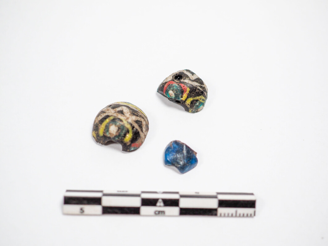 “These were found in the plough soil, and we can’t determine that they were actually from the ship. But they certainly look very grand and are probably our most visually pleasing find”, says Wenn. “These were found in the plough soil, and we can’t determine that they were actually from the ship. But they certainly look very grand and are probably our most visually pleasing find”, says Wenn.