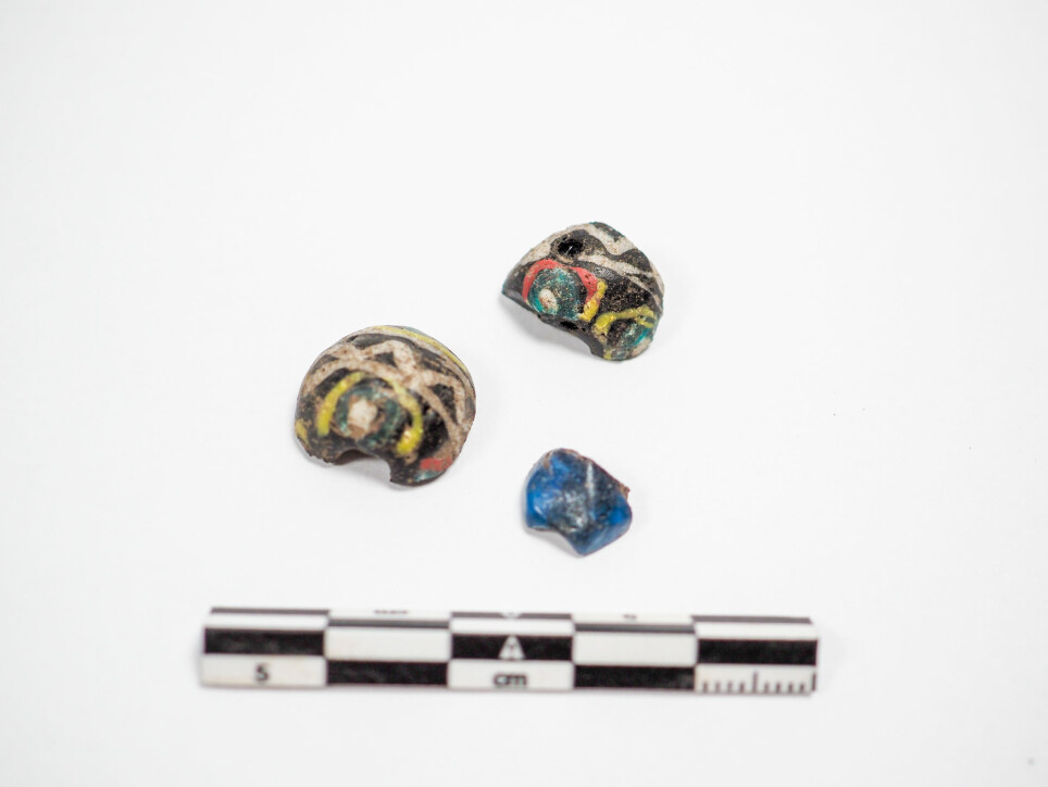 “These were found in the plough soil, and we can’t determine that they were actually from the ship. But they certainly look very grand and are probably our most visually pleasing find”, says Wenn.