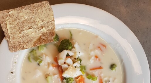 What type of food will you need when you get sick or old? What type of food will you need when you get sick or old?