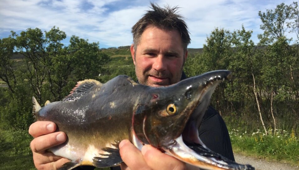 Rune Muladal with a pink salmon.