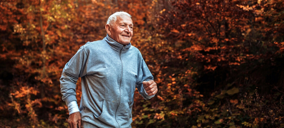 Why failing hearts love hard workouts