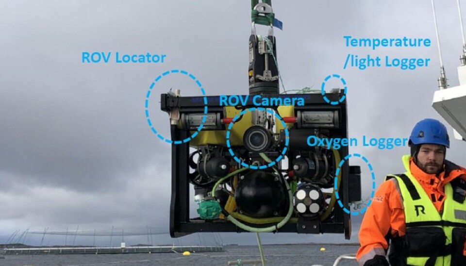 The core task at hand during the research project has been to make the vehicle autonomous, which has involved giving it both a brain, three-dimensional vision and various sensors that can survey the environment.