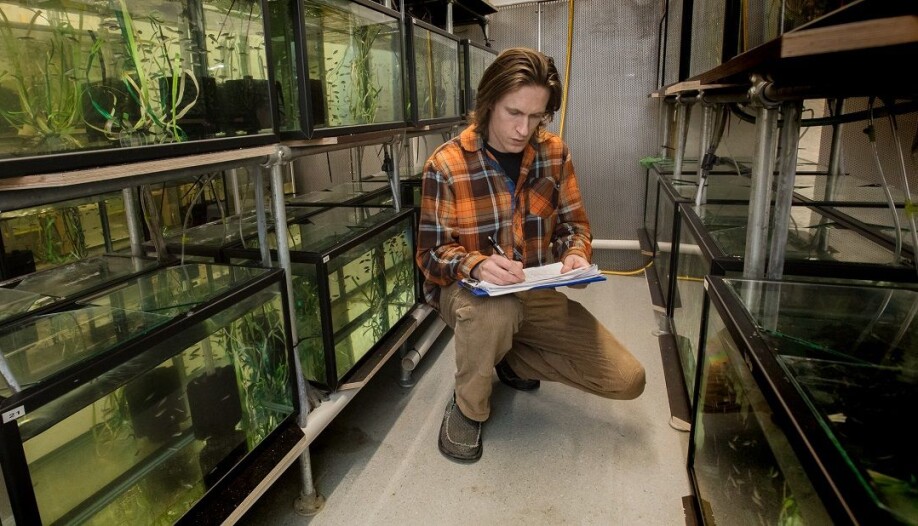 It looks like evolution is slower than global warming in this case, says associate professor Fredrik Jutfelt.