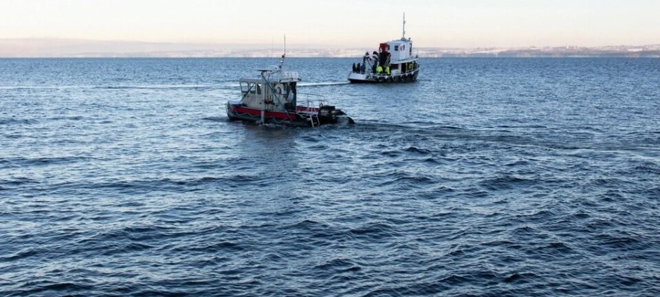 Could there be hidden viking ships at the bottom of Norway's largest lake?