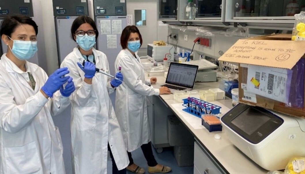 Here, health engineers in Milan are preparing to send boxes of samples for analysis to other engineers in Kiel. The Milano team greeted their German colleagues with the message Here, health engineers in Milan are preparing to send boxes of samples for analysis to other engineers in Kiel. The Milano team greeted their German colleagues with the message