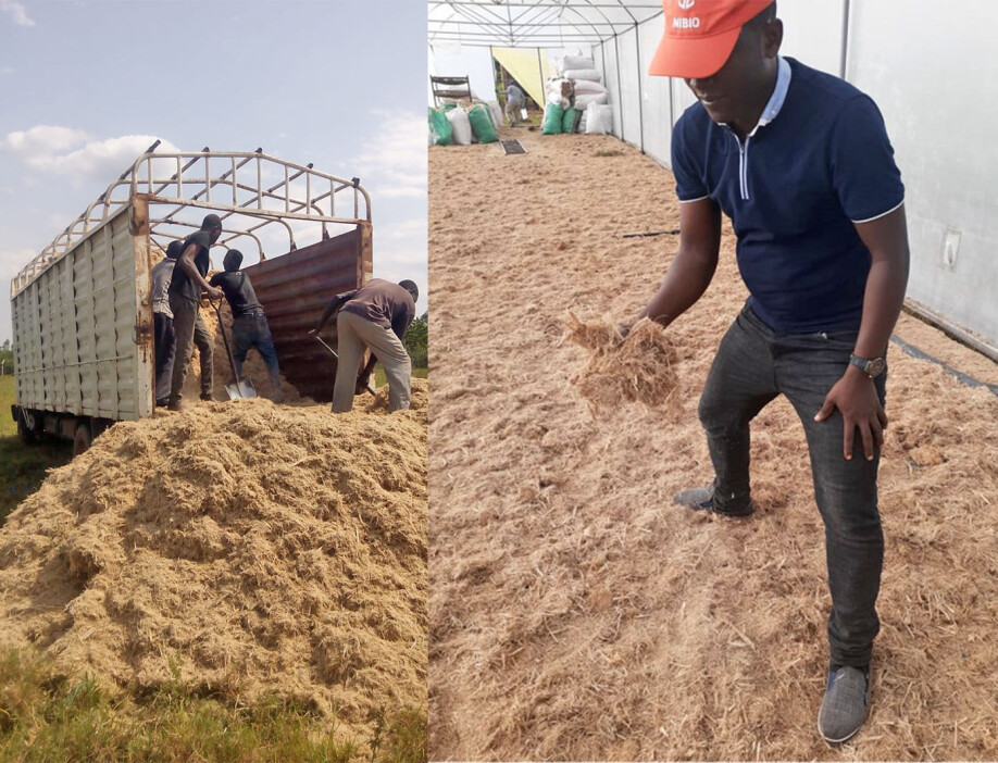 The picture shows wet sugarcane bagasse delivery (left) and drying in a greenhouse to the right. During the prolonged rainy season, drying bagasse outside in the sun was challenging. A custom-made green house with wind driven ventilator solves part of the problem, while reducing bagasse drying from 3 days to one day. Bagasse is normally very wet because the sugar cane itself is wet and on top, water is added during sugarcane crushing into juicing.