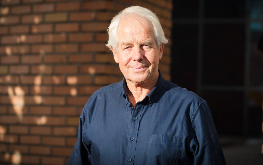 Professor Bjarne Bogen Professor Bjarne Bogen