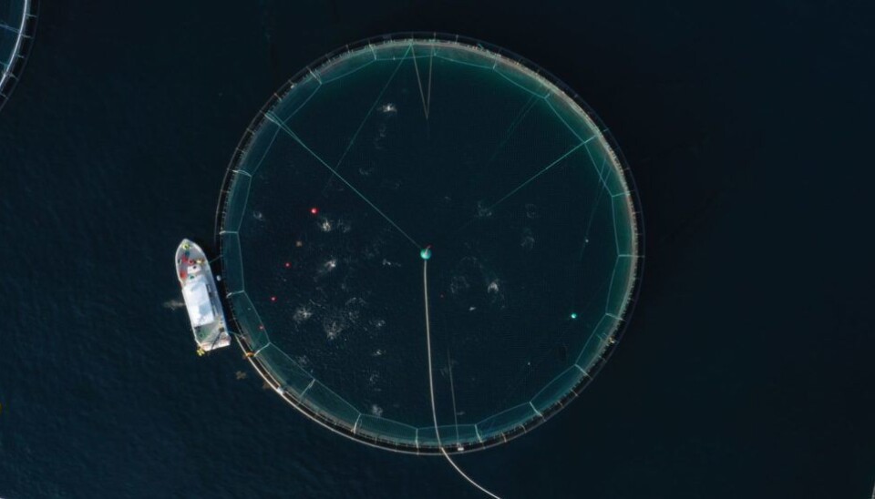 Testing of the SICA-system outside Norway. In contrast to the traditional method of underwater video cameras, this system was found to detect unusual behavior of salmon more effectively during the feeding process by identifying low feed intake earlier.