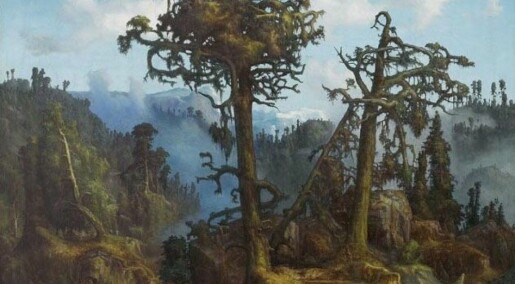 Do we still remember what the forest really looks like?