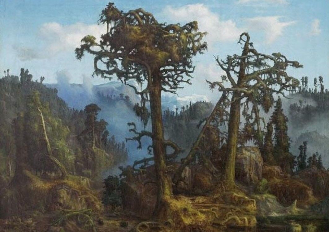 Crooked old pines and bearded spruces in the dusk, creaking in the wind. This is how Norway’s primeval forest was interpreted by the artist Lars Hertervig who painted Crooked old pines and bearded spruces in the dusk, creaking in the wind. This is how Norway’s primeval forest was interpreted by the artist Lars Hertervig who painted