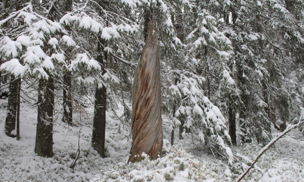 Once upon a time there was giant here. Once upon a time there was giant here.