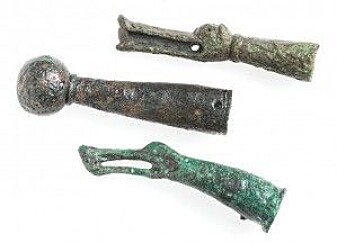 Drinking horns decorated with animal heads bear witness of high status. Drinking horns decorated with animal heads bear witness of high status.