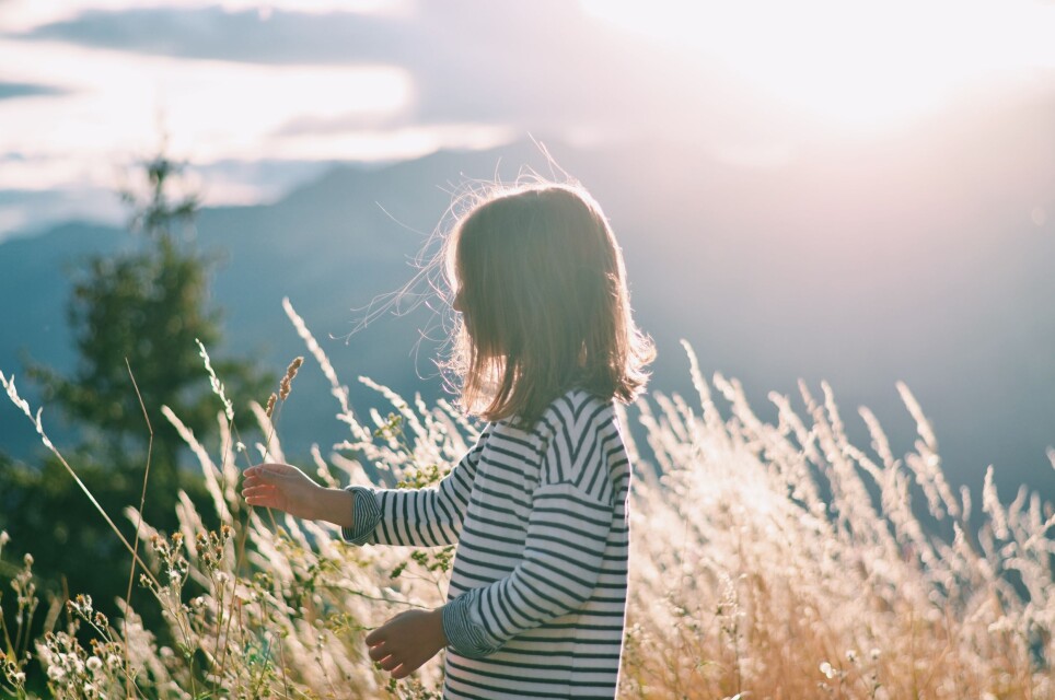 If you lose a close family member in an accident, murder or suicide, you will need support from family and friends. However, you will also need support from other actors in society, according to researcher Lisa Burrell.
