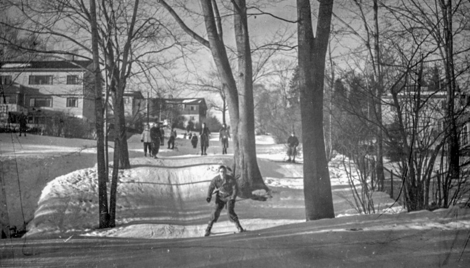 “Damefallet” in Nordberg just below Sognsvann lake is one of the “Marka” trails that were planned as early as the interwar period, and is still in use. Photograph from 1950.