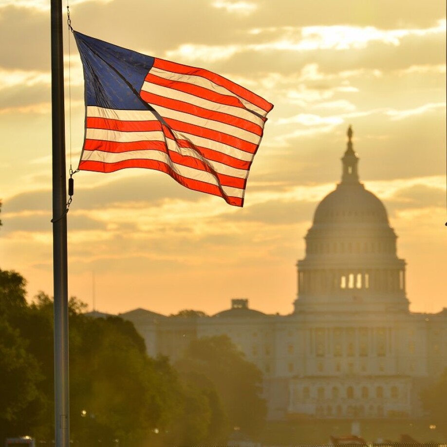 The United States Congress. More open to welcoming uninvited guests than we thought.