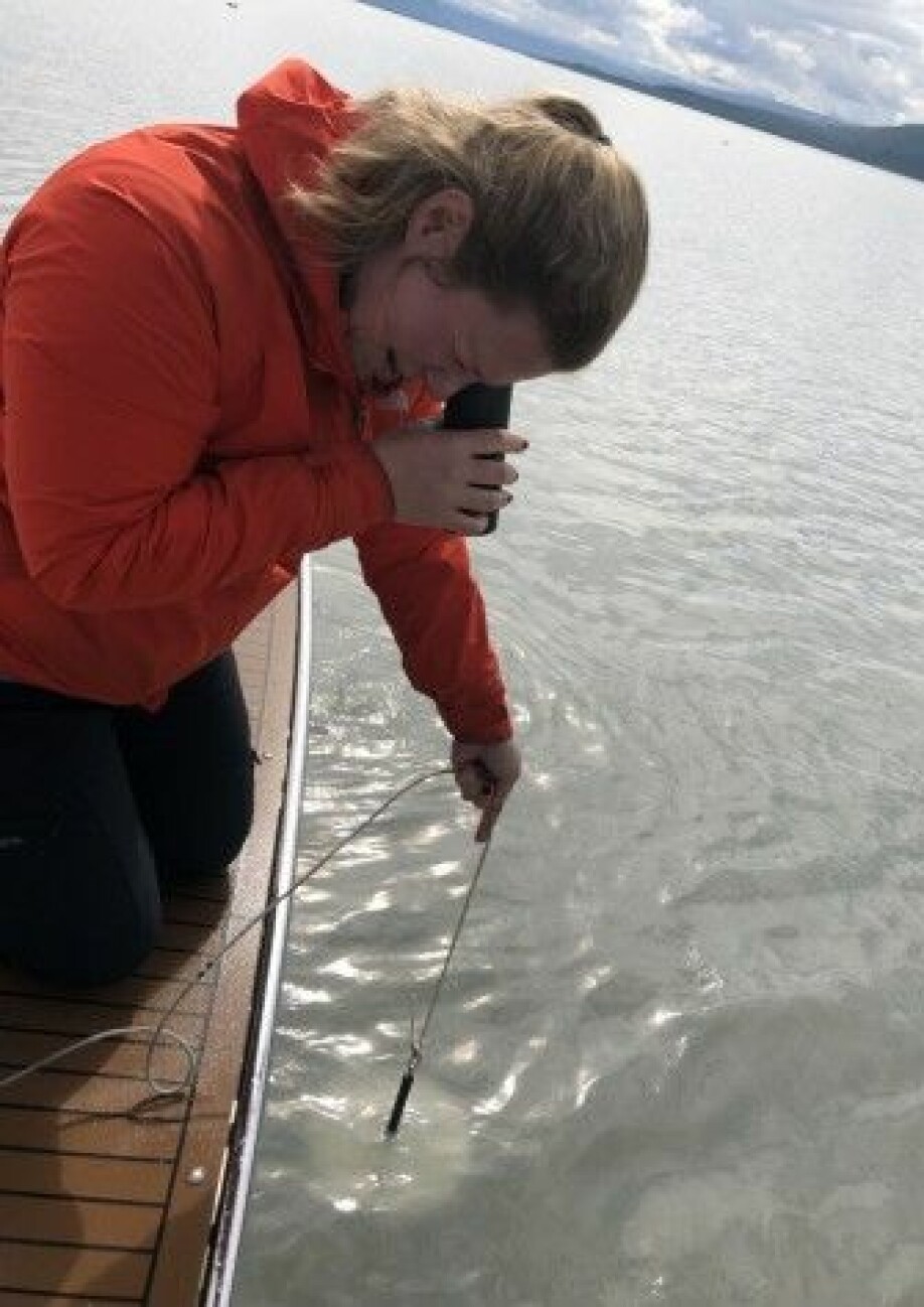 NIVA researcher Helene Frigstad uses a white Secchi disk attached to a rope to measure how dark the water along the coast is.