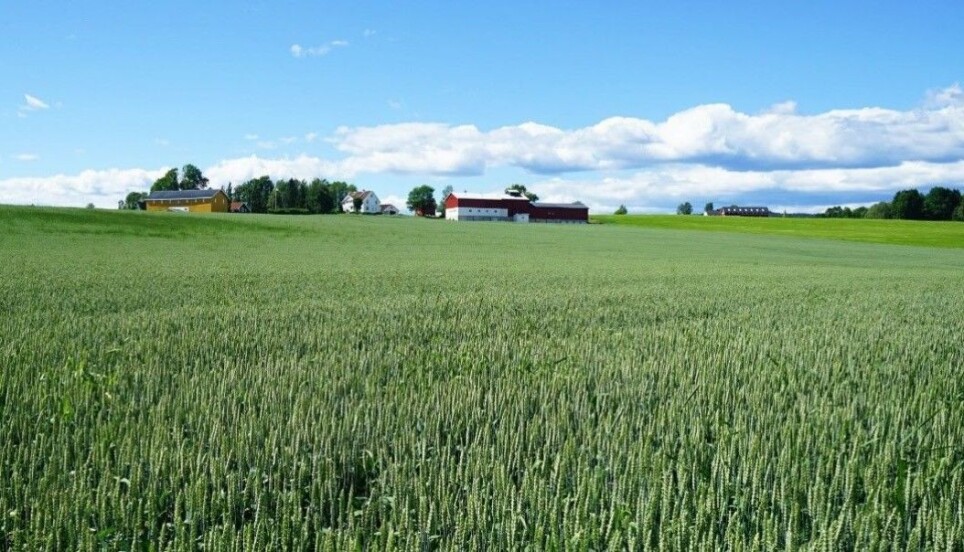 When wastewater plants recover more phosphorous from sewage, Norwegian farmers can benefit from cheaper fertilisers.