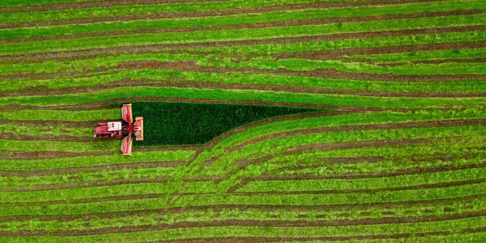 Common to all biofuels is that plants are broken down and transformed into a product we can take advantage of in vehicles and machines, for example.