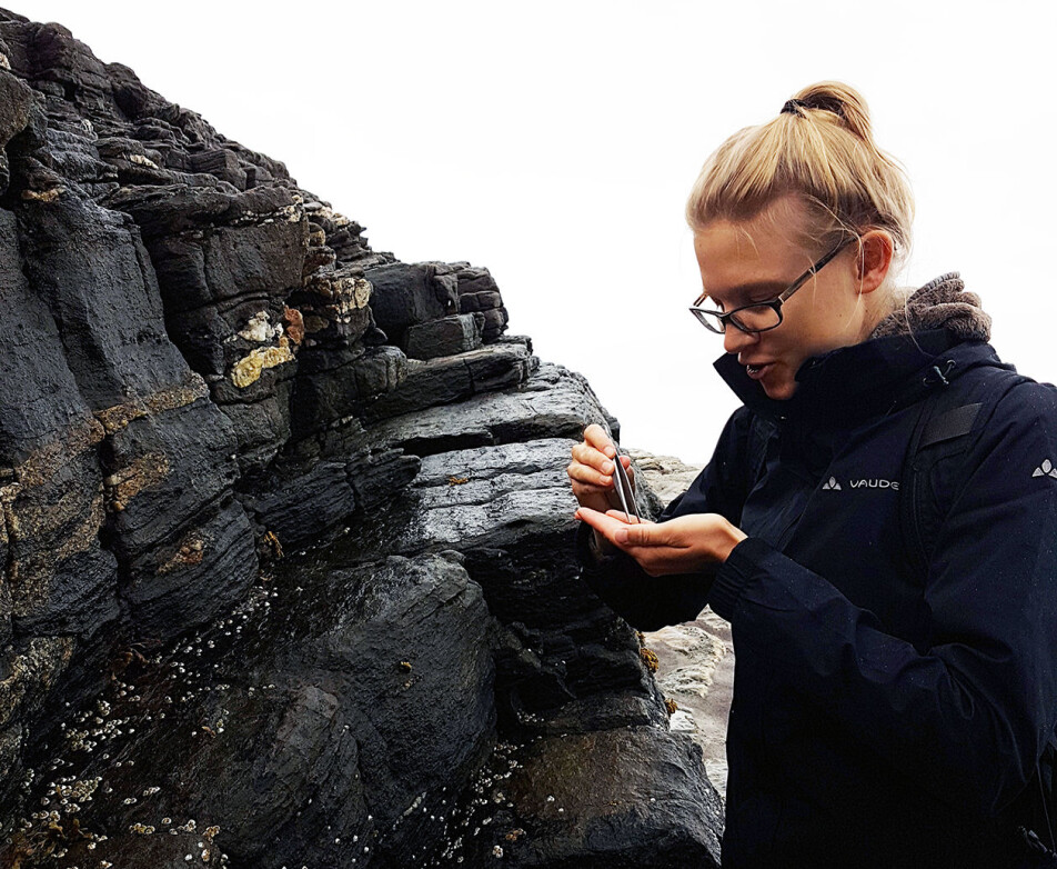 Anna Marie Westram heads the project: 'Genomic basis of temperature adaptation across space'. The project received 11.2 million Norwegian kroner from the Research Council of Norway.