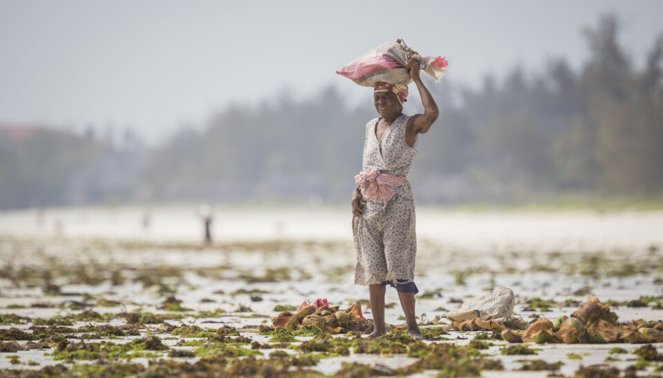 Large sums are invested in climate adaptation projects in developing countries. Research shows that the money seldom reaches those who need it most.