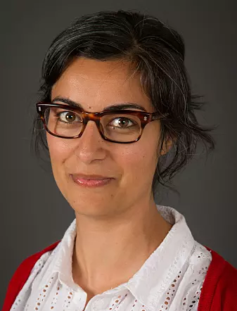 Marjan Nadim is a sociologist at the Norwegian Institute for Social Research and a researcher on gender equality, integration and freedom of expression.