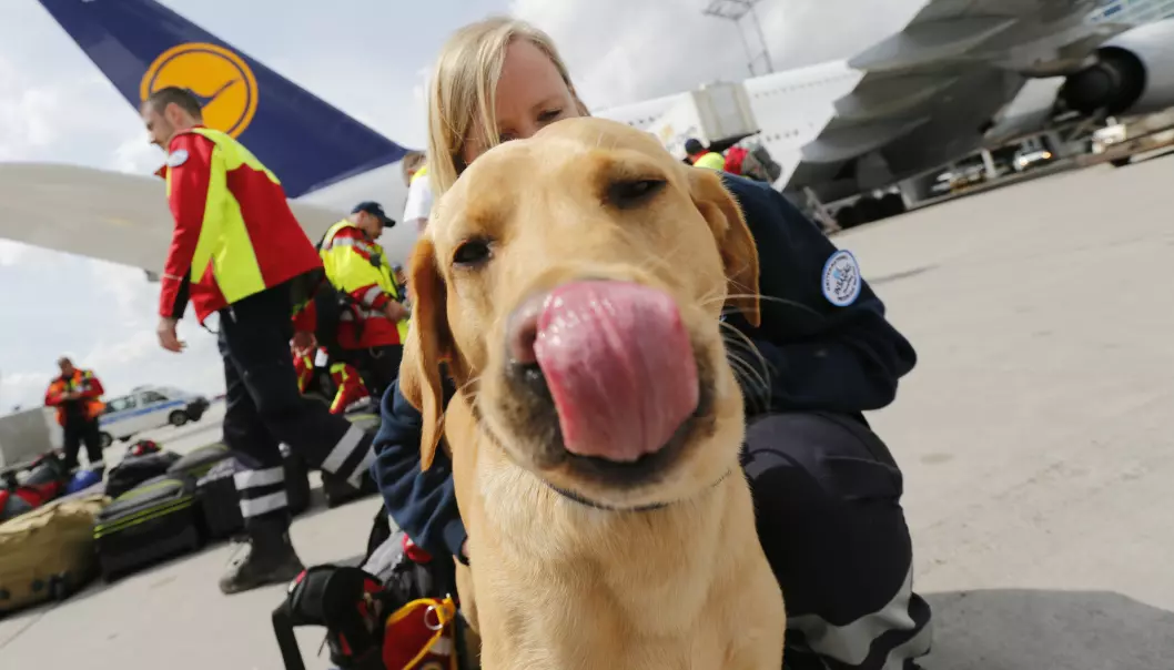 Sniffer dog Cooper and his handler from Germany's NGO International Search and Rescue (ISAR- Germany) as they prepare to board their flight to Nepal from Frankfurt airport April 26, 2015, after a massive 7.8 magnitude earthquake killed nearly 2,000 people.