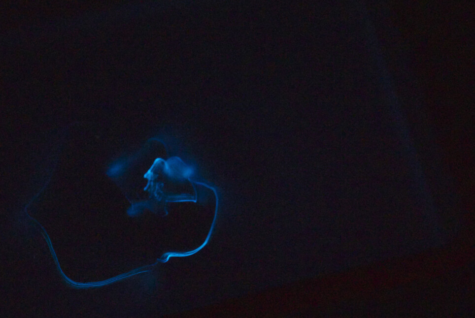 Phosphorescence.