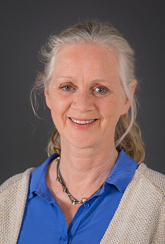 Ragni Hege Kitterød is a researcher in Norway’ Institute for Social Research. Ragni Hege Kitterød is a researcher in Norway’ Institute for Social Research.