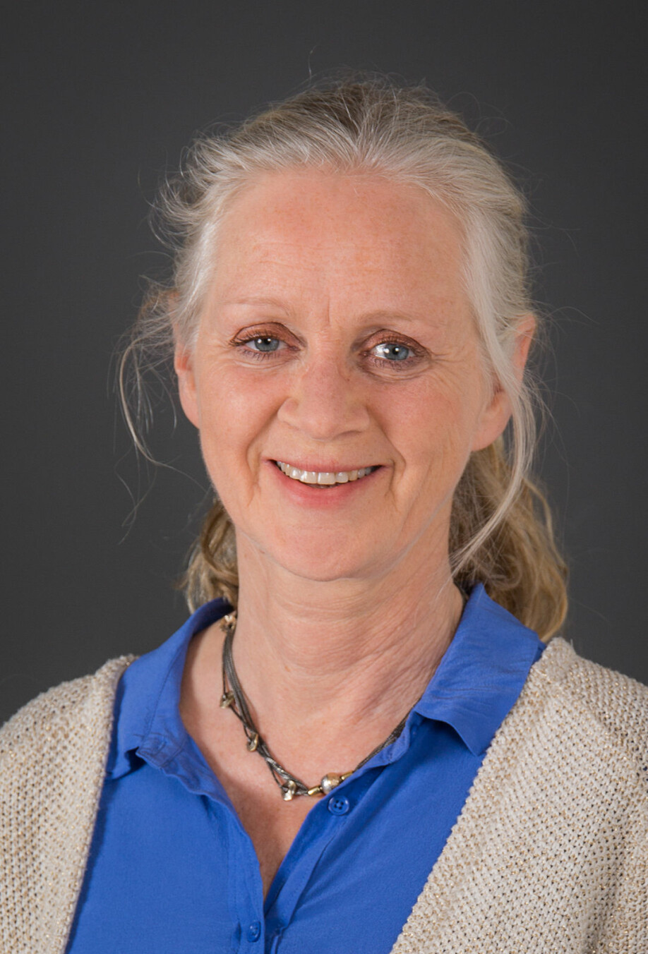 Ragni Hege Kitterød is a researcher in Norway’ Institute for Social Research.
