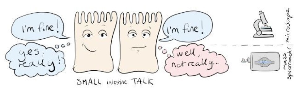 A regular gluten-free diet might not be sufficient to completely curb gluten-induced inflammation in all coeliac disease patients.