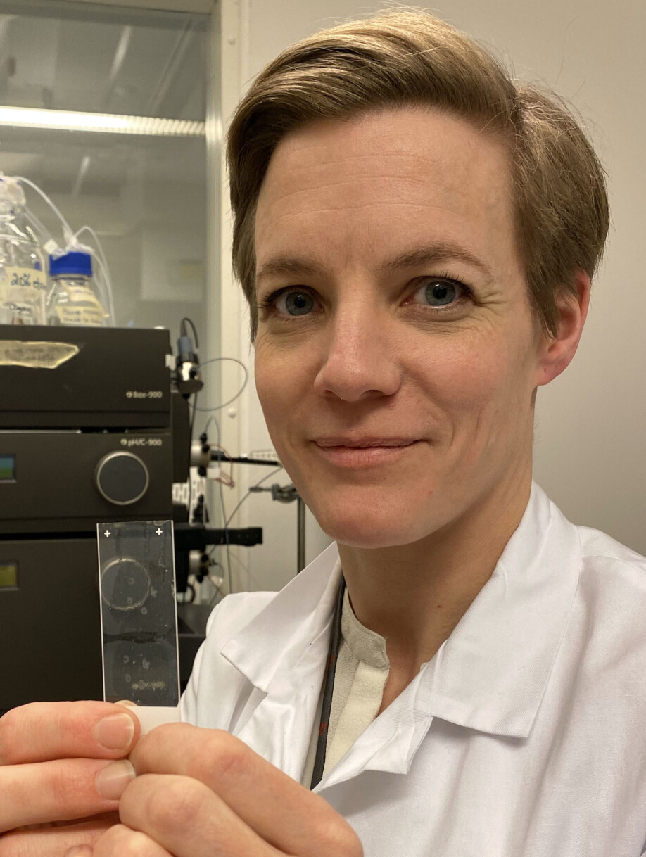 Jorunn Stamnæs, researcher at UiO and administrative coordinator of the KG Jebsen Coeliac Disease Research Centre.