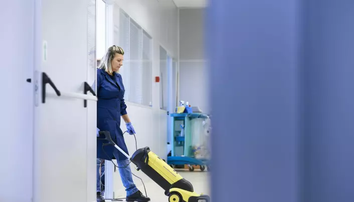 Polish people with PhDs work as cleaners and builders in Norway