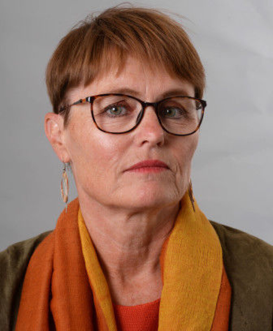 Sami life is a part of Norwegian culture, and thereby of Norwegian media culture, in the assessment of media scholar Eli Skogerbø.